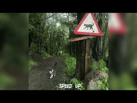 Видео: Дайте танк(!) - Оплачено [speed up]