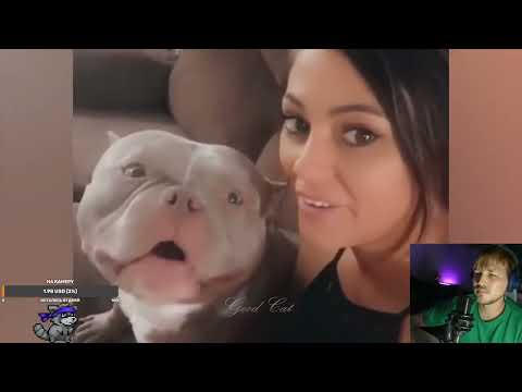 Видео: ПОПРОБУЙ НЕ ЗАПЛАКАТЬ\PUBG🦝 (Part 7/10)