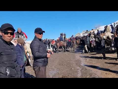 Видео: Ат жарыш, Кайын-Талаа айылы|Алайку .16.03.2024