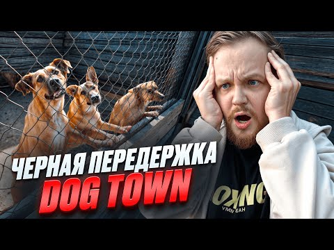 Видео: ВСЯ ПРАВДА ПРО ЧЕРНУЮ ПЕРЕДЕРЖКУ DOG TOWN ГДЕ ИЗДЕВАЛИСЬ НАД СОБАКАМИ