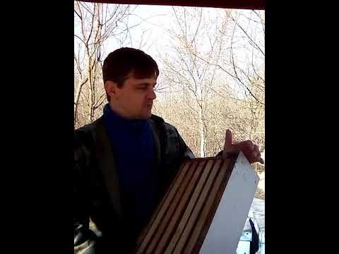 Видео: Конструкция 6 рамочного улья. Преимущество√2