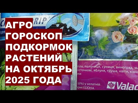 Видео: Секреты подкормки для сада и огорода в октябре 2025!