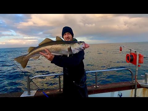 Видео: 24-часовая коммерческая рыбалка на удочки - Огромный улов сайды во Франции!