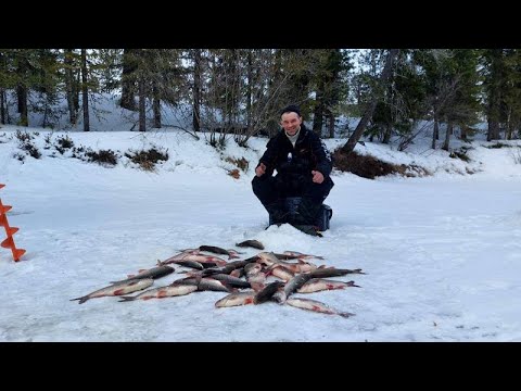 Видео: ДВА ДНЯ НА ТАЁЖНОЙ РЕКЕ.ШИКАРНОЕ ЗАКРЫТИЕ ЗИМНЕГО СЕЗОНА РЫБАЛКИ.ВЕСЕННИЙ ЯЗЬ.
