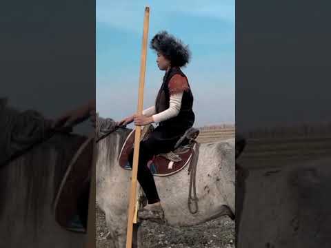 Видео: N36 Зарбалик орто мектебинин 10 классынын атынан, 8-март майрамдык кечеде болуп откон видео-слайды.