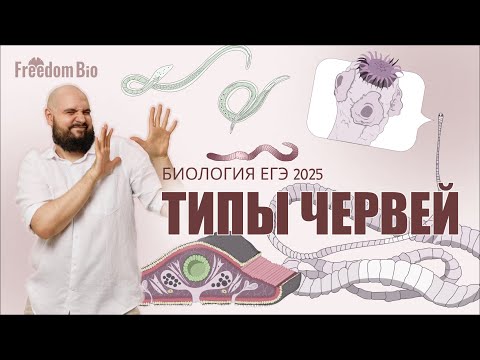 Видео: ТИПЫ ЧЕРВЕЙ для ЕГЭ ПО БИОЛОГИИ |Зоология| ЕГЭ БИОЛОГИЯ 2025|Freedom|