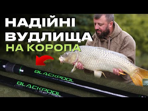 Видео: 🔥 Огляд НАДІЙНИХ вудлищ CarpPro BlackPool на КОРОПА