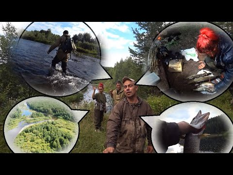 Видео: Таёжное озеро!Северный Урал