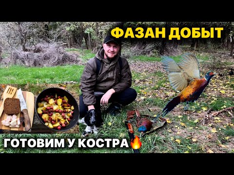Видео: Охота на фазана со спаниелем Теей! Добыча и готовка на костре 🔥