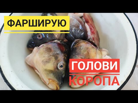 Видео: ФАРШИРУЮ ГОЛОВИ КОРОПА - оригінально, бюджетно, смачно...