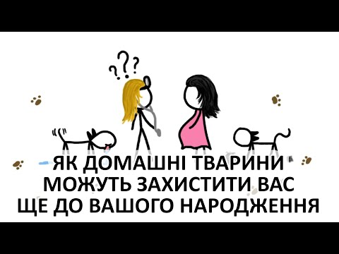 Видео: Як домашні тварини можуть захистити вас ще ДО вашого народження [MinuteEarth]