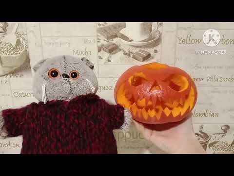 Видео: ХЭЛЛОУИНСКИЙ влог с Басиками 2023🎃😺