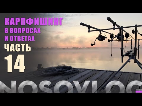 Видео: Карпфишинг в вопросах и ответах, А. Колесников, выпуск 14