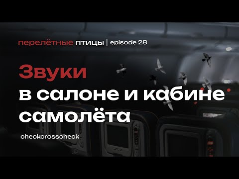 Видео: Звуки в самолёте | Зачем переключают табло "Пристегнуть ремни” и почему лают собаки в Airbus?