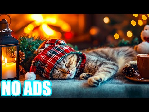 Видео: 12 часов умиротворяющих и целебных звуков для кошек💖🎵 Нежная музыка для спокойных ночей🐾 Снятие с
