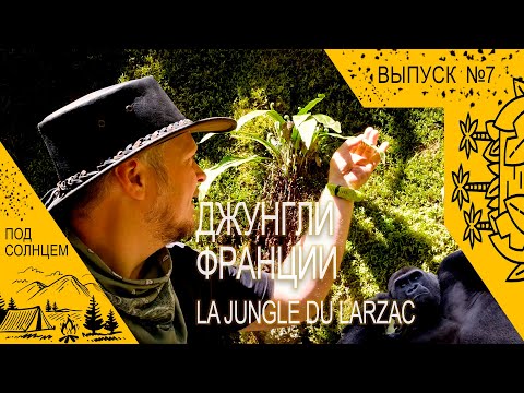 Видео: Джунгли Франции  La jungle du Larzac