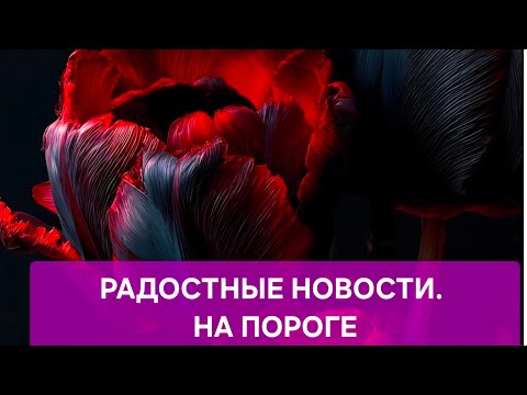 Видео: ‼️⚡️РАДОСТНЫЕ НОВОСТИ НА ПОРОГЕ ‼️‼️🔥