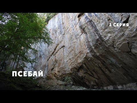 Видео: Псебай 2024 1 серия