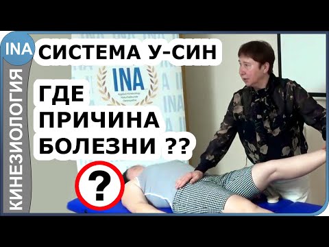 Видео: У-СИН. Где причина болезни? Прикладная кинезиология. Проф. Л.Ф. Васильева