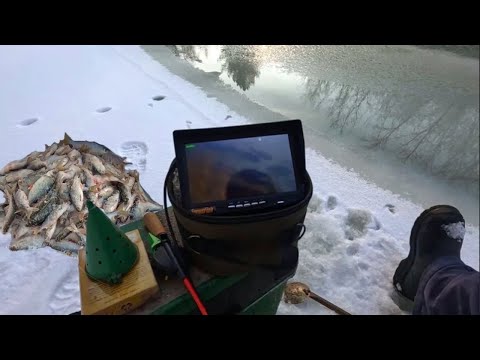 Видео: ЗАБЕРЕГИ ПЕРВОГО ЛЬДА !!! Второй выезд 15 ноября 2025г.