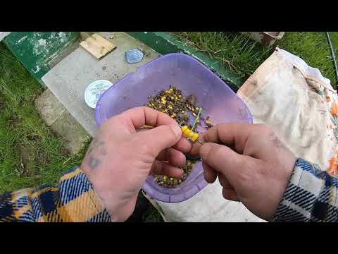 Видео: Зеркальный Карп 3,9кг /Ночная рыбалка в Германии/Ночные поклёвки Карпа и огромных Лещей.