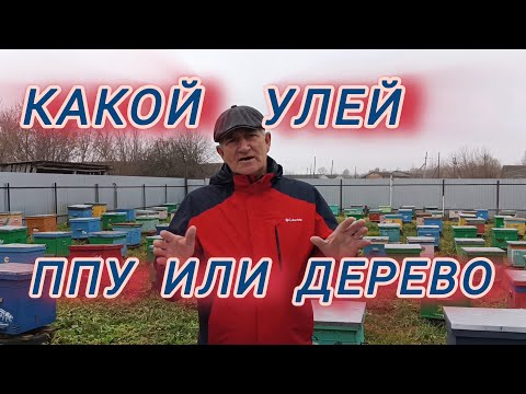 Видео: Какой улей ППУ или ДЕРЕВО 🌲