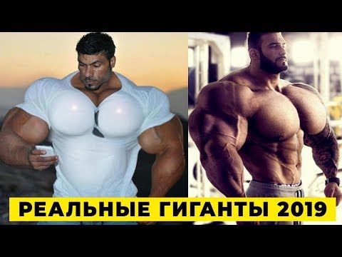 Видео: 7 Настоящих Халков, Которые Живут На Земле