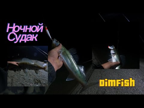 Видео: Супер клев судака ночью и днём! Почти на каждом забросе!