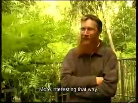 Видео: «Андрей из Михалкино» (2011) (фильм 1)