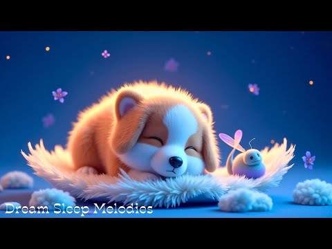 Видео: Засыпайте всего за 4 минуты 🌙 Успокаивающие звуки фортепиано и целебные мелодии для спокойной ночи