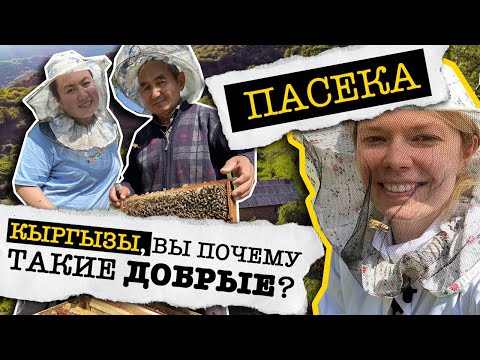 Видео: ПАСЕКА: самый ДОБРЫЙ ролик на ЮТУБЕ // Узген // КЫРГЫЗСТАН 2021