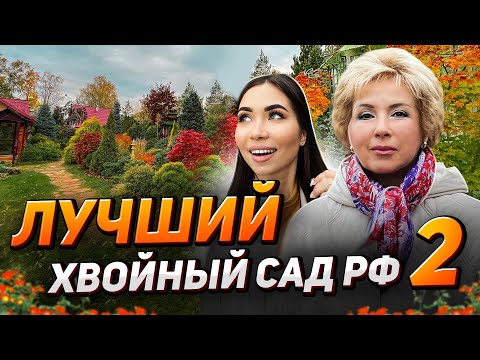 Видео: 🌲Как Татьяна Воловик содержит 600 сортов на 1 участке?