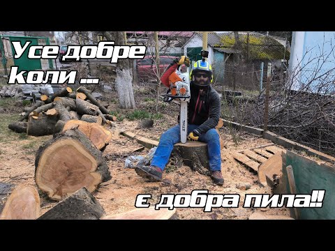 Видео: Черешня у постійного клієнта