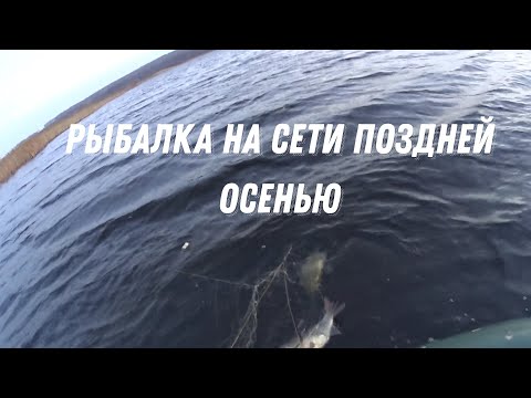 Видео: Рыбалка на сети поздней осенью
