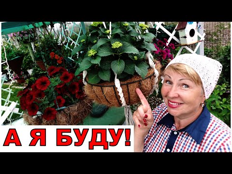Видео: Зачем вы это выращиваете? Это никогда не вырастет в холодных условиях!