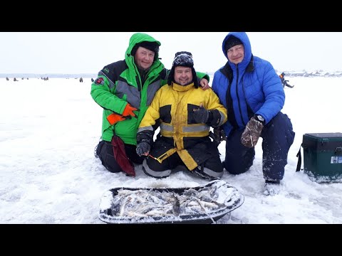 Видео: д. Сухое, Беломорский р-он. Белое море. Навага клюёт!!!