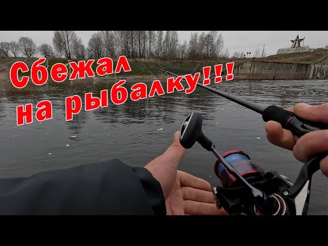 Видео: ОСЕННИЕ ПРОДЕЛКИ ОКУНЯ! ПРОБУЕМ ПОДОБРАТЬ КЛЮЧИК!!!РЫБАЛКА С Ronin Rush RAIDER 3-18g!!!