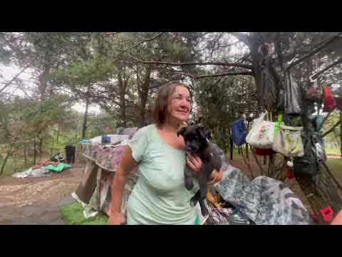 Видео: Люди свалки, Лена и Денис Часть 8. как жизнь на свалке? Витёк мусорщик.