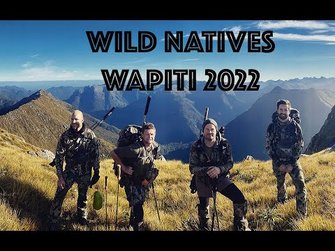 Видео: Wild Natives Вапити Фьордленд 2022