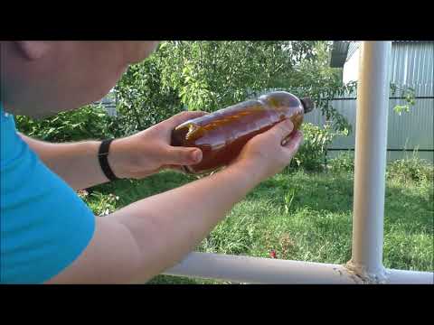 Видео: Как избавится от дрожжевого осадка в пиве