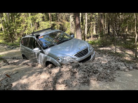 Видео: Эта дорога ВСЕХ шокировала! Сложный маршрут в лесу, Нива УАЗы и SsangYong преодолевают бездорожье.