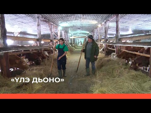 Видео: «Үлэ дьоно»  (15.04.22)