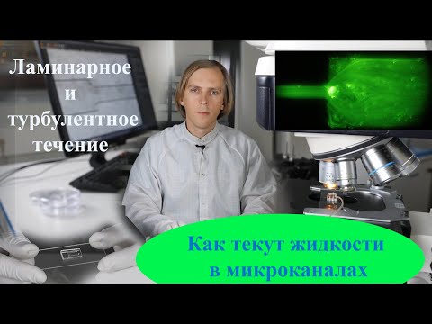 Видео: Движение жидкостей в микроканалах