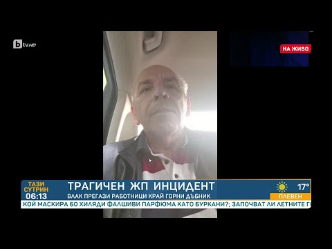 Видео: Трагичен жп инцидент: Влак прегази работници край Горни Дъбник