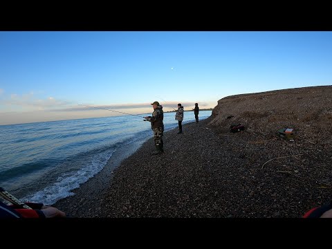 Видео: СУДАКИ НЕ ДАВАЛИ ОТДЫХАТЬ! КЛЁВ БЫЛ ПРОСТО БЕШЕНЫЙ!