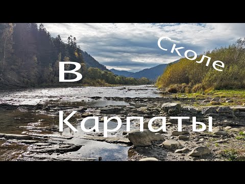 Видео: ПВД в Сколе
