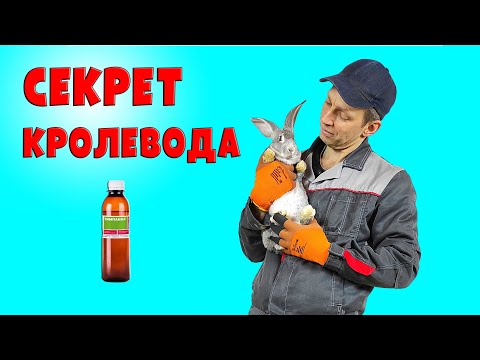 Видео: Должно быть у каждого кроликовода!