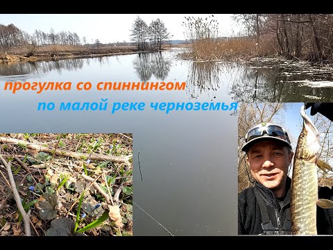 Видео: Ходовая рыбалка весной на малой реке.