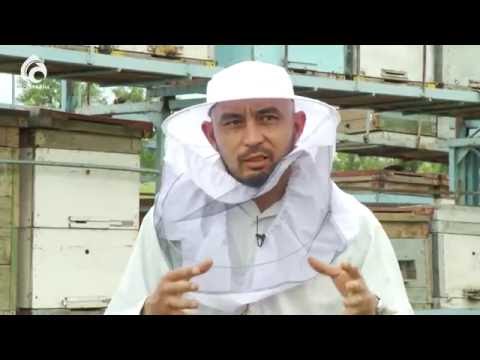 Видео: Омарташы \ Ерен еңбек \ Асыл арна