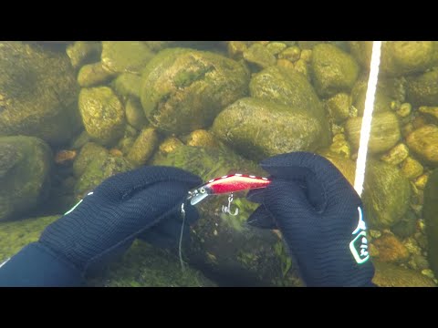 Видео: И ВНОВЬ СОБРАН ПОДВОДНЫЙ УРОЖАЙ БЛЁСЕН / UNDERWATER SEARCH